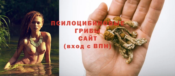СК Майский
