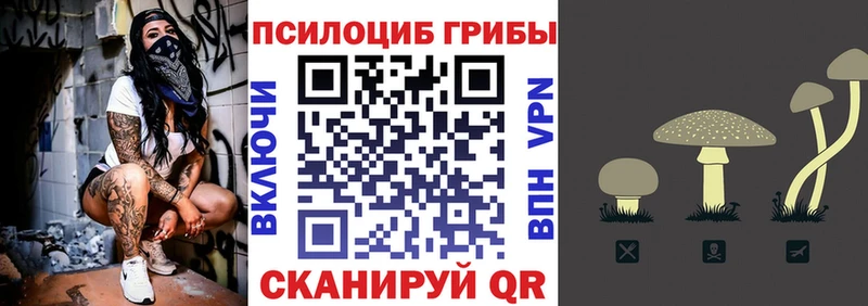 цены Апшеронск OMG ССЫЛКА Псилоцибиновые грибы Psilocybe