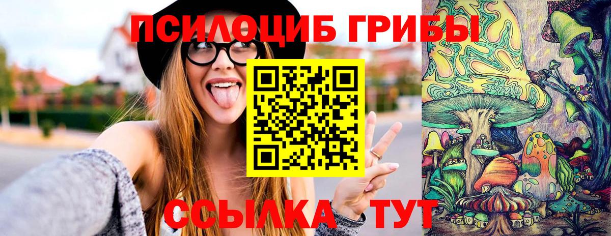Апшеронск  где купить наркотик  Вход с VPN  Псилоцибиновые грибы прущие грибы 