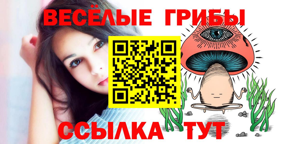 Галлюциногенные грибы Psilocybine cubensis Апшеронск